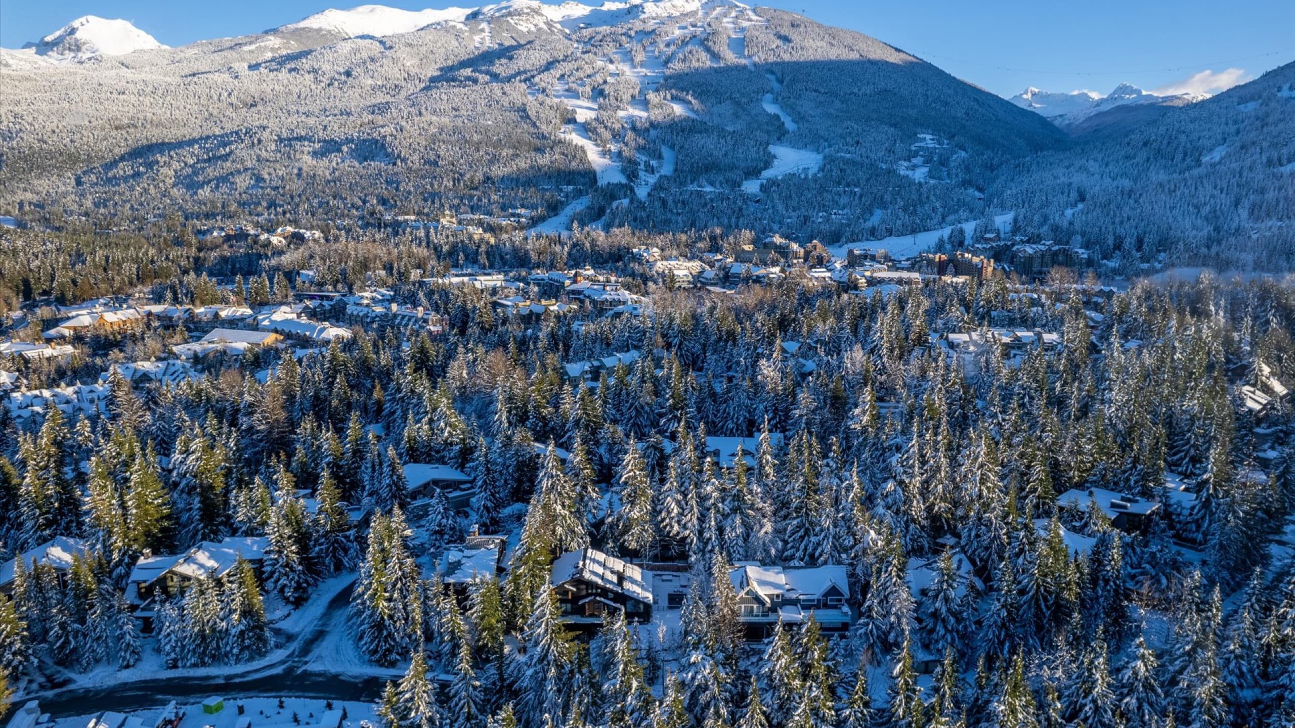 Whistler and Blackcomb mountains above the valley in winter